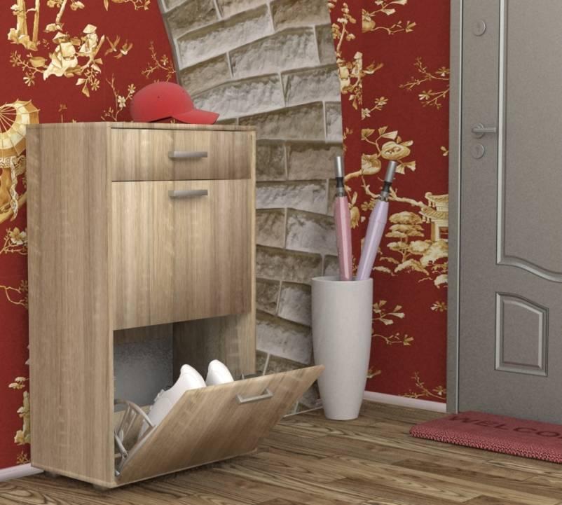 Фото Обувница ОБ-2 от производителя Пирамида в Ялте по цене 5&nbsp;060 ₽