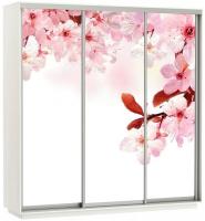 Фото shkaf-kupe-v-prikhozhuyu шкаф-купе экспресс трио фото (2,1х0,6х2,2 - 3 двери) производитель Мебельная компания Е1