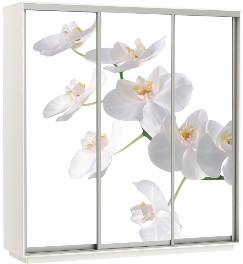 Фото Шкаф-купе Экспресс Трио Фото (2,4х0,6х2,4 - 3 двери) от производителя Мебельная компания Е1 в Ялте по цене 63 870 ₽